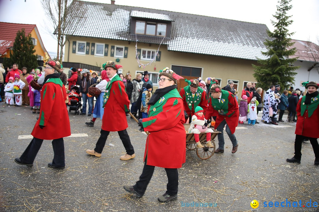 Fasnachtsumzug und Narrentage: Welschingen, 24.01.2016