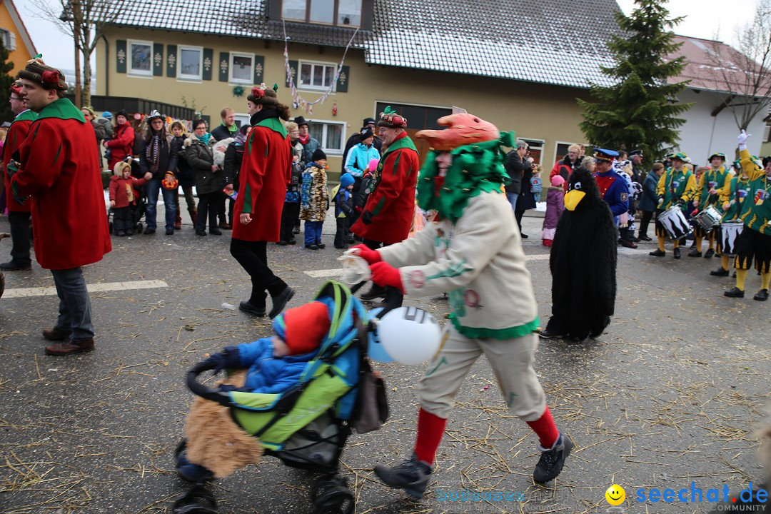 Fasnachtsumzug und Narrentage: Welschingen, 24.01.2016