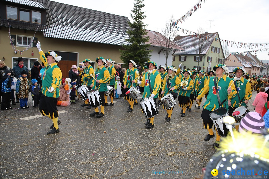 Fasnachtsumzug und Narrentage: Welschingen, 24.01.2016