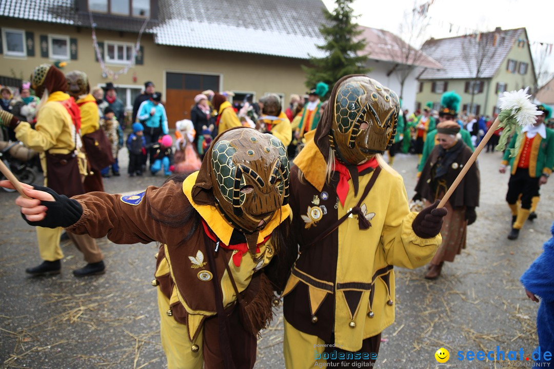 Fasnachtsumzug und Narrentage: Welschingen, 24.01.2016