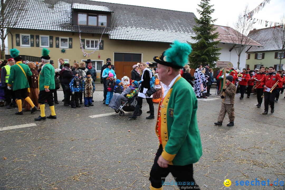 Fasnachtsumzug und Narrentage: Welschingen, 24.01.2016