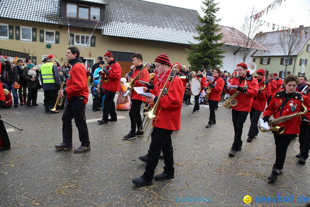 Fasnachtsumzug und Narrentage: Welschingen, 24.01.2016