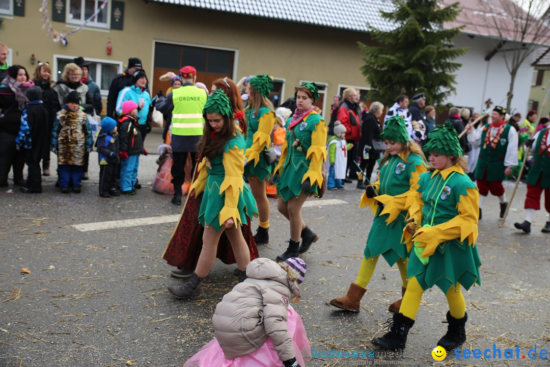 Fasnachtsumzug und Narrentage: Welschingen, 24.01.2016