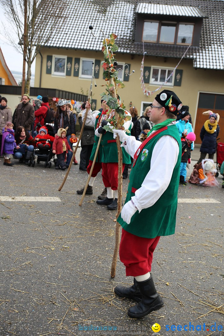 Fasnachtsumzug und Narrentage: Welschingen, 24.01.2016