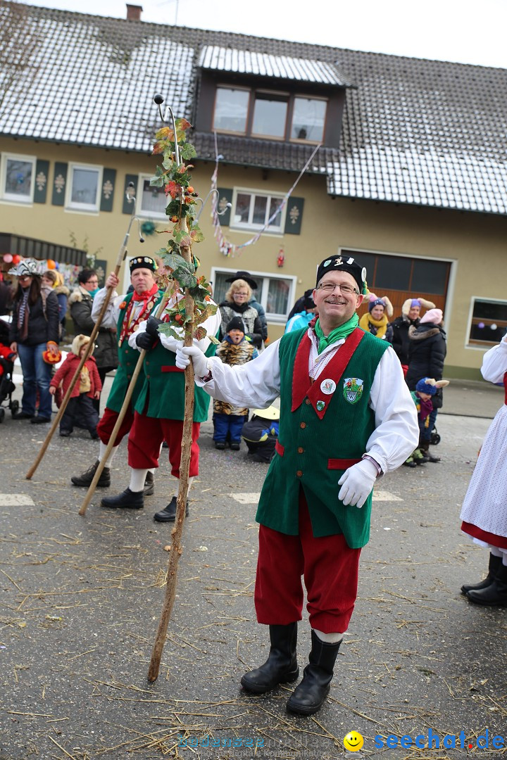 Fasnachtsumzug und Narrentage: Welschingen, 24.01.2016