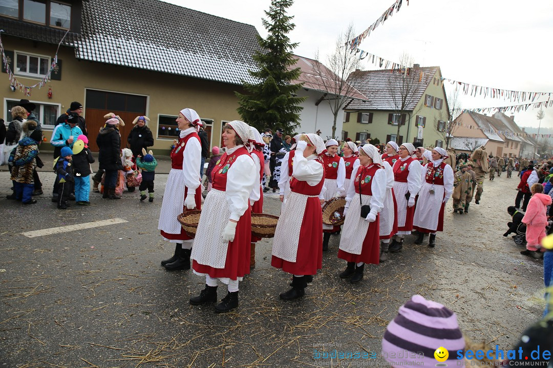 Fasnachtsumzug und Narrentage: Welschingen, 24.01.2016