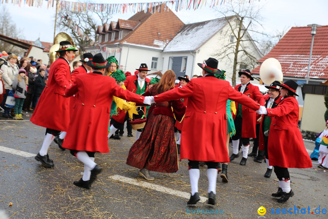 Fasnachtsumzug und Narrentage: Welschingen, 24.01.2016