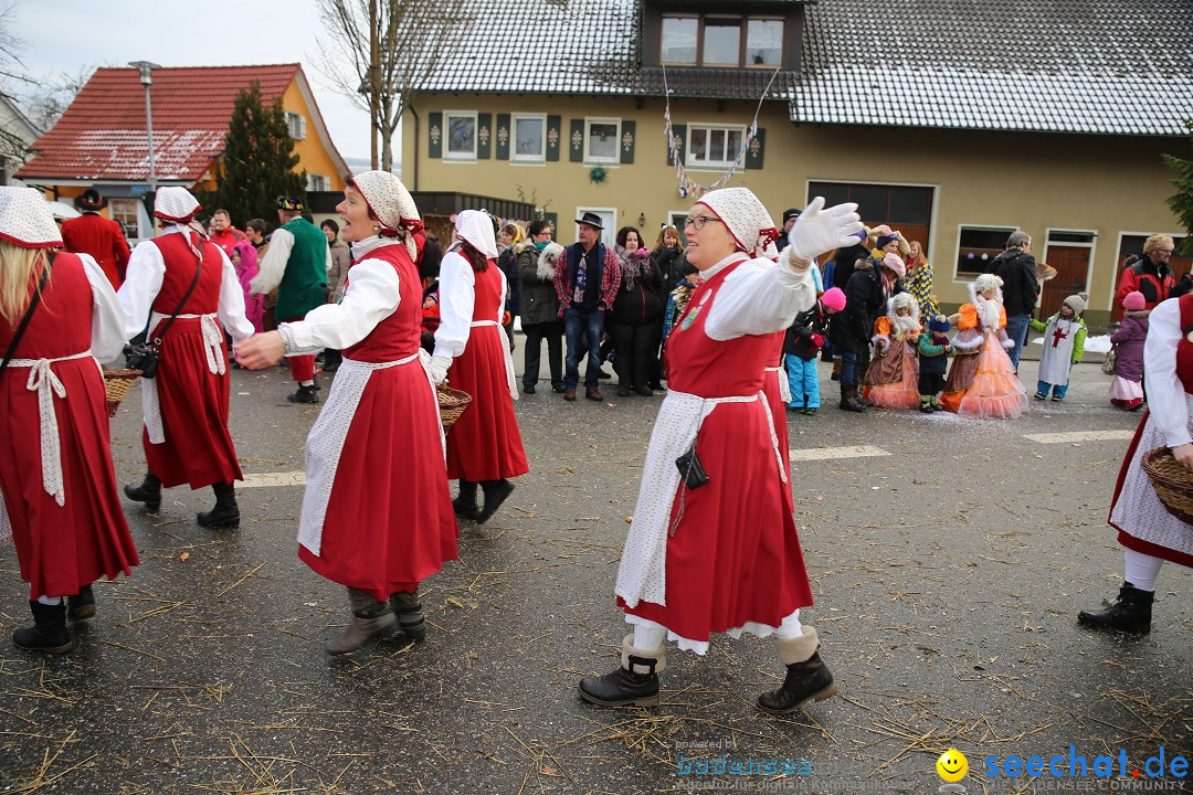 Fasnachtsumzug und Narrentage: Welschingen, 24.01.2016