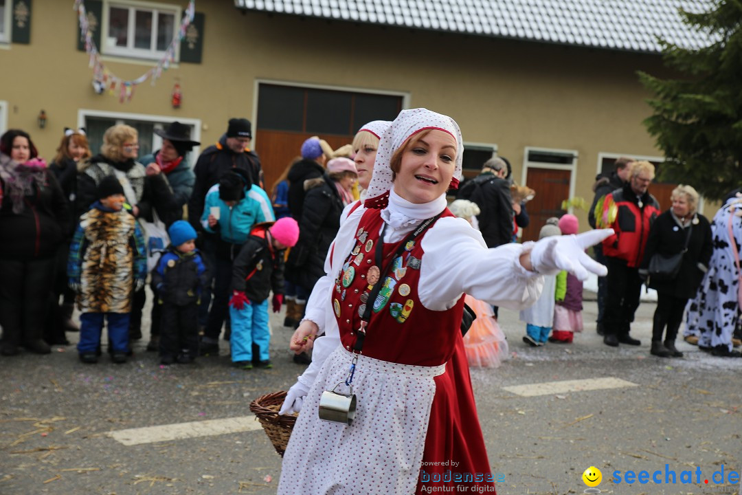 Fasnachtsumzug und Narrentage: Welschingen, 24.01.2016