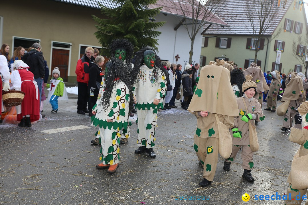 Fasnachtsumzug und Narrentage: Welschingen, 24.01.2016