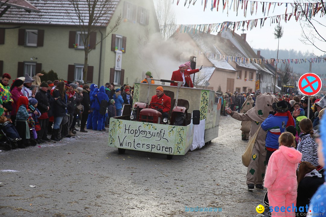 Fasnachtsumzug und Narrentage: Welschingen, 24.01.2016