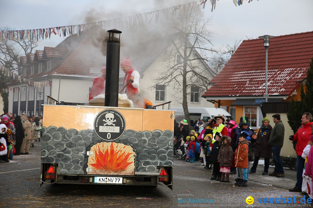 Fasnachtsumzug und Narrentage: Welschingen, 24.01.2016