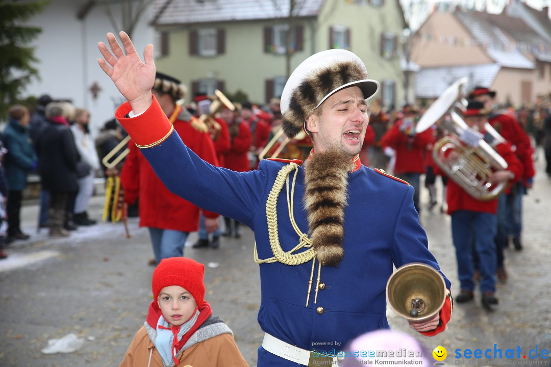 Fasnachtsumzug und Narrentage: Welschingen, 24.01.2016