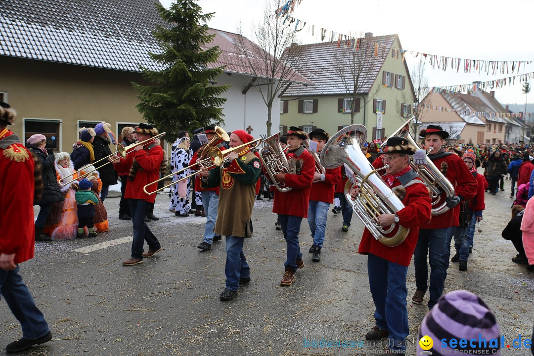 Fasnachtsumzug und Narrentage: Welschingen, 24.01.2016