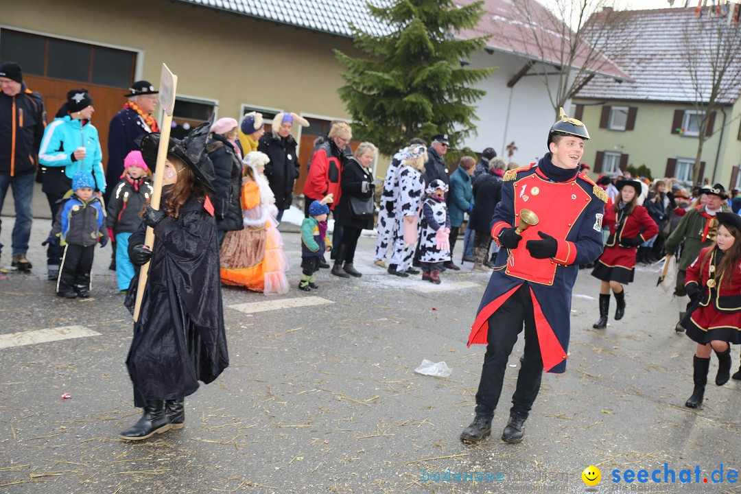 Fasnachtsumzug und Narrentage: Welschingen, 24.01.2016