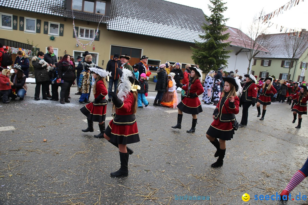 Fasnachtsumzug und Narrentage: Welschingen, 24.01.2016