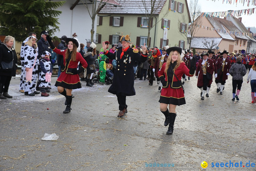 Fasnachtsumzug und Narrentage: Welschingen, 24.01.2016