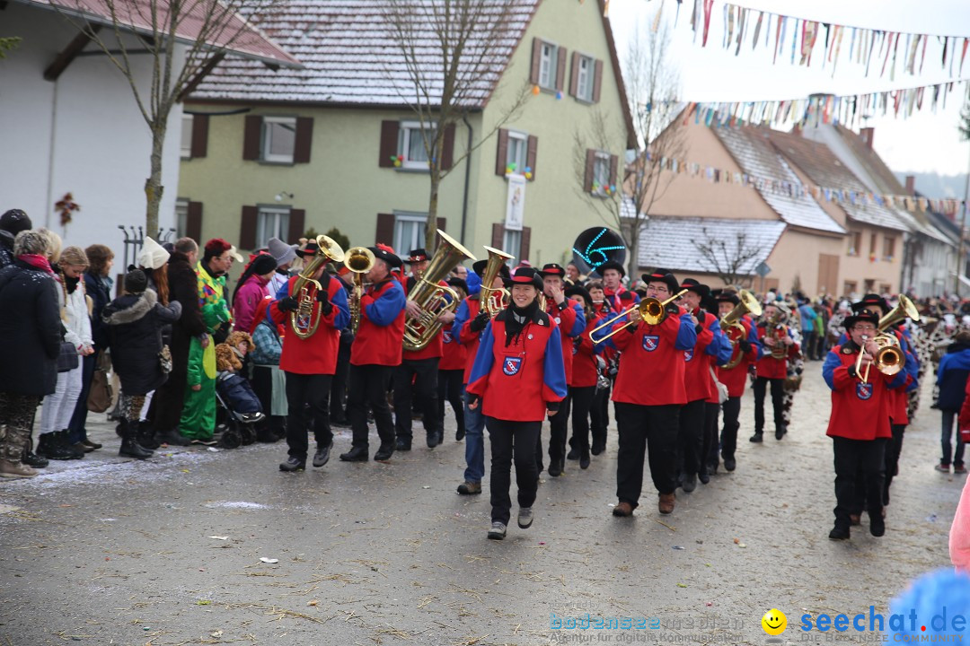 Fasnachtsumzug und Narrentage: Welschingen, 24.01.2016