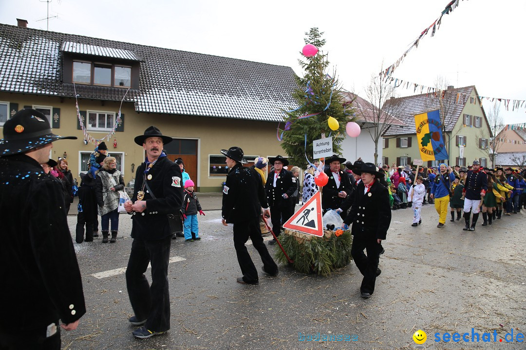 Fasnachtsumzug und Narrentage: Welschingen, 24.01.2016