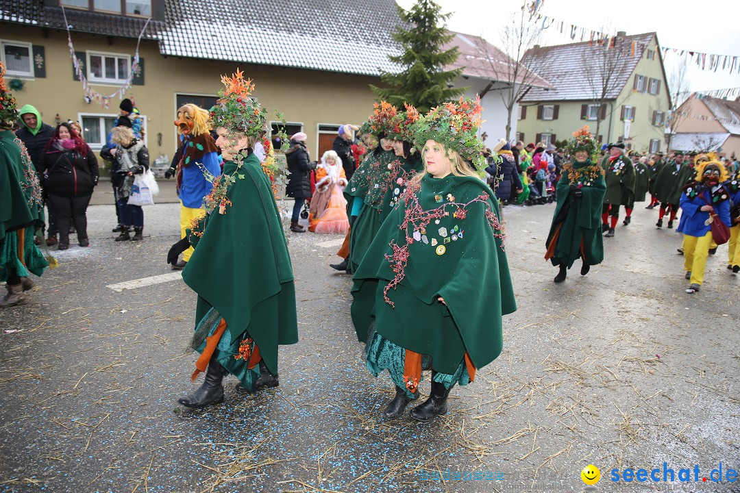 Fasnachtsumzug und Narrentage: Welschingen, 24.01.2016