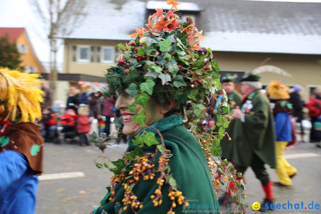 Fasnachtsumzug und Narrentage: Welschingen, 24.01.2016