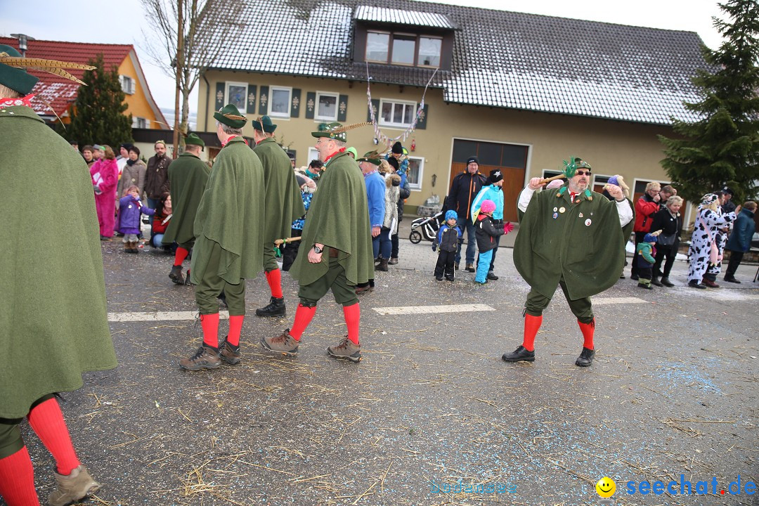 Fasnachtsumzug und Narrentage: Welschingen, 24.01.2016