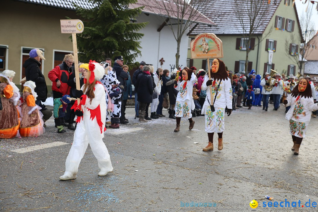 Fasnachtsumzug und Narrentage: Welschingen, 24.01.2016