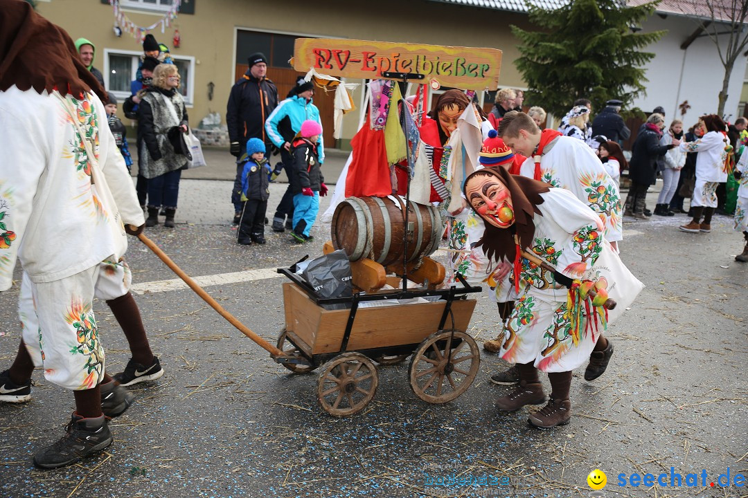 Fasnachtsumzug und Narrentage: Welschingen, 24.01.2016