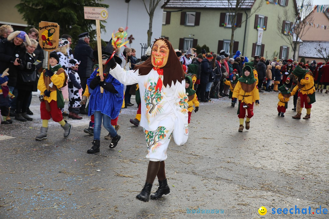 Fasnachtsumzug und Narrentage: Welschingen, 24.01.2016