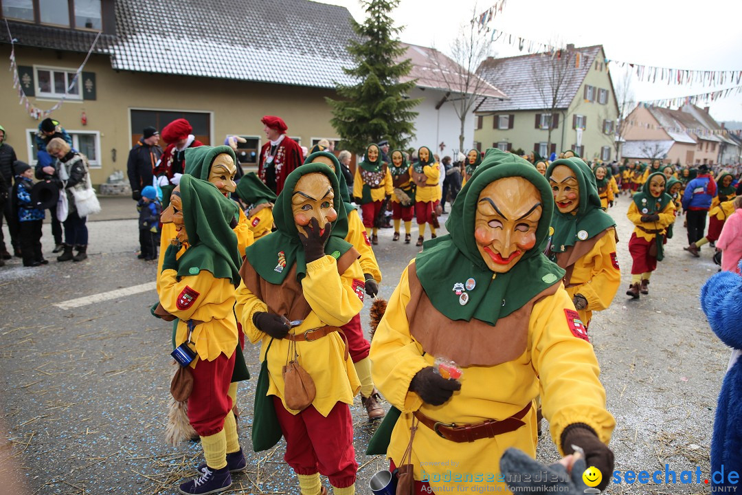 Fasnachtsumzug und Narrentage: Welschingen, 24.01.2016