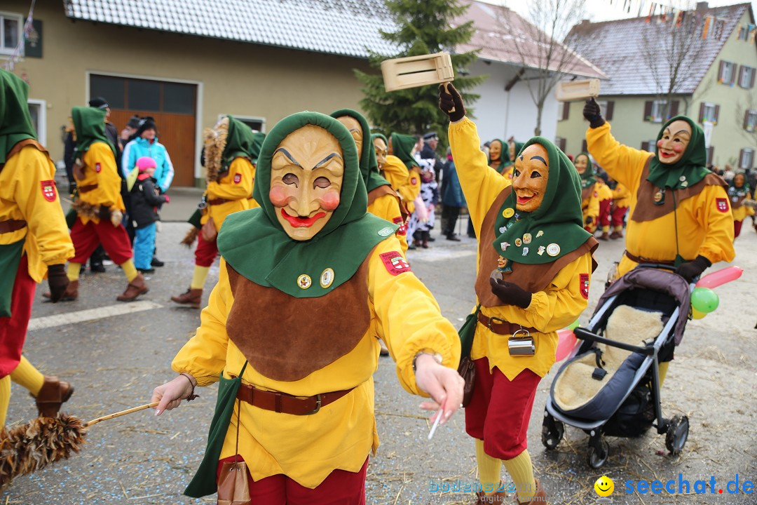 Fasnachtsumzug und Narrentage: Welschingen, 24.01.2016