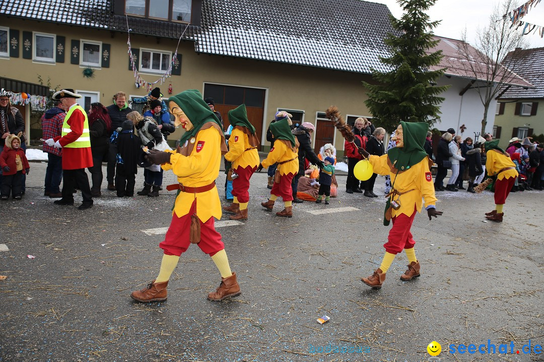 Fasnachtsumzug und Narrentage: Welschingen, 24.01.2016