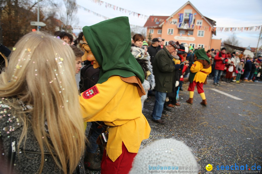 Fasnachtsumzug und Narrentage: Welschingen, 24.01.2016