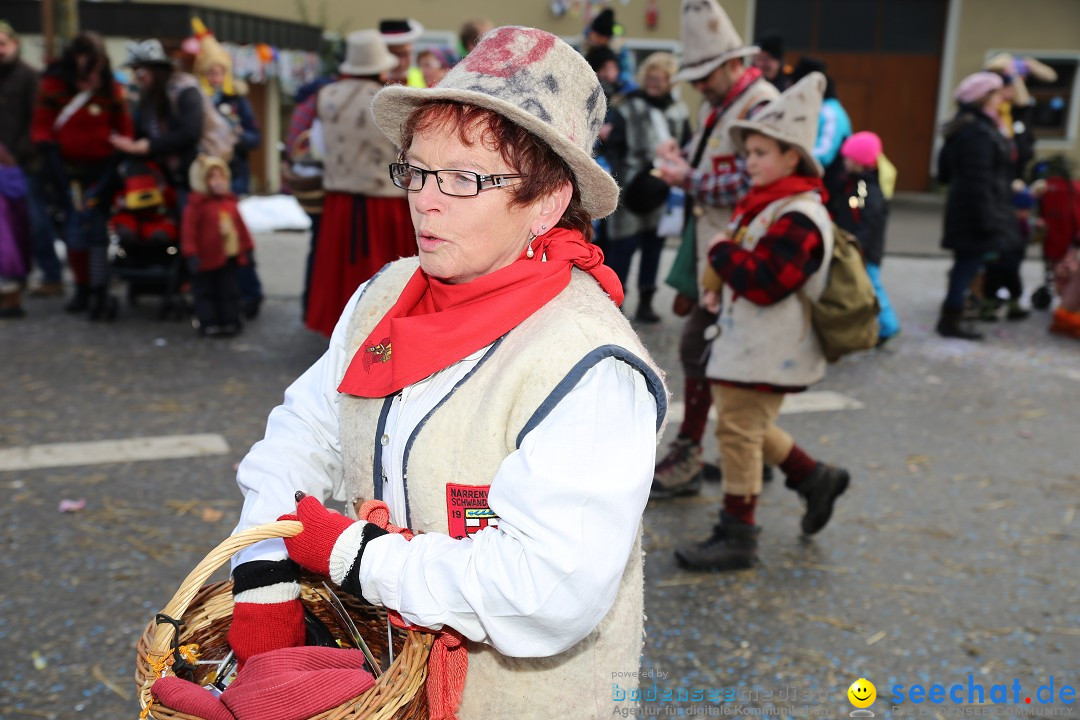 Fasnachtsumzug und Narrentage: Welschingen, 24.01.2016