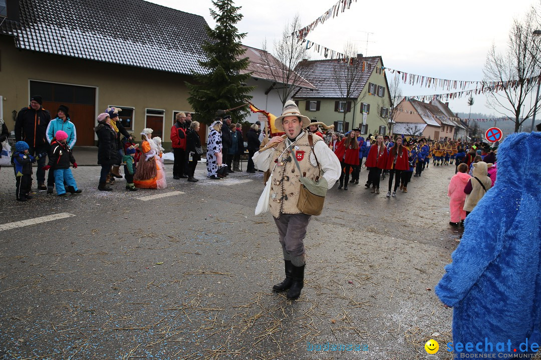 Fasnachtsumzug und Narrentage: Welschingen, 24.01.2016