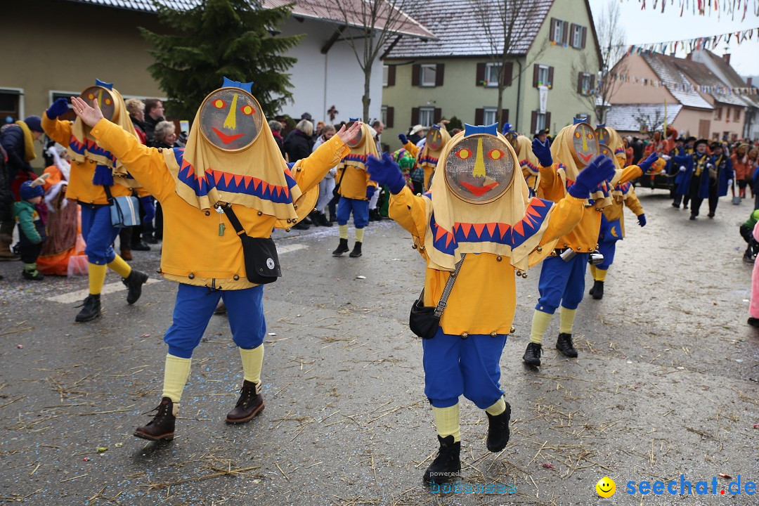 Fasnachtsumzug und Narrentage: Welschingen, 24.01.2016