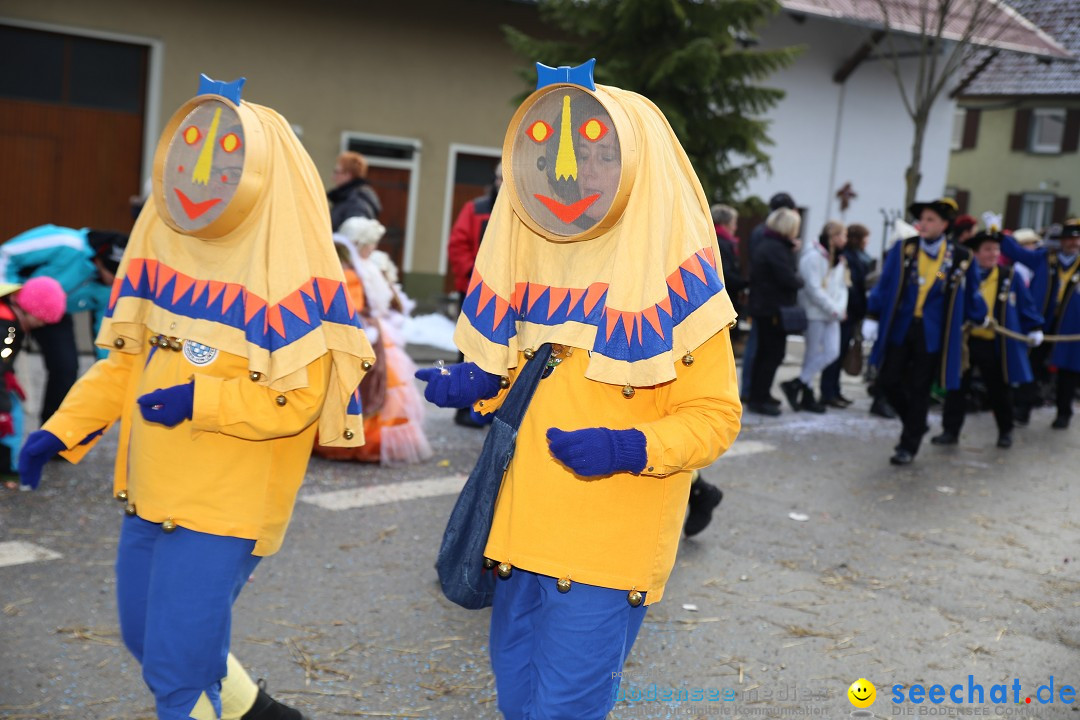 Fasnachtsumzug und Narrentage: Welschingen, 24.01.2016