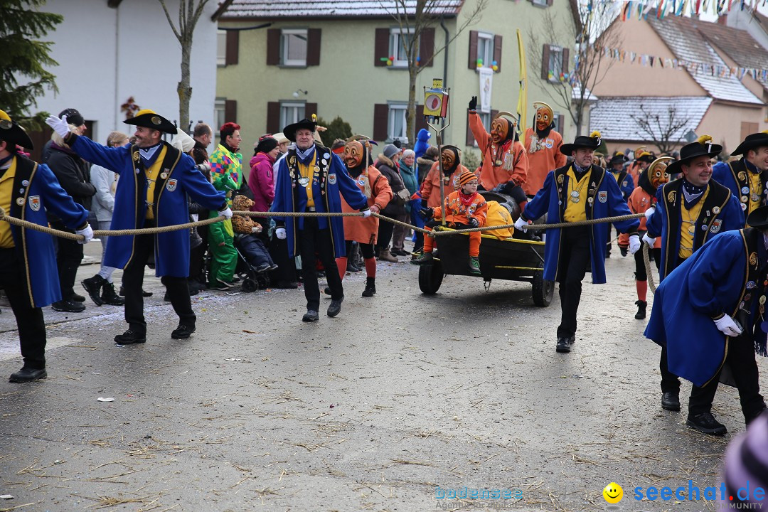 Fasnachtsumzug und Narrentage: Welschingen, 24.01.2016