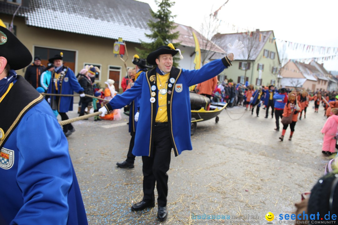 Fasnachtsumzug und Narrentage: Welschingen, 24.01.2016