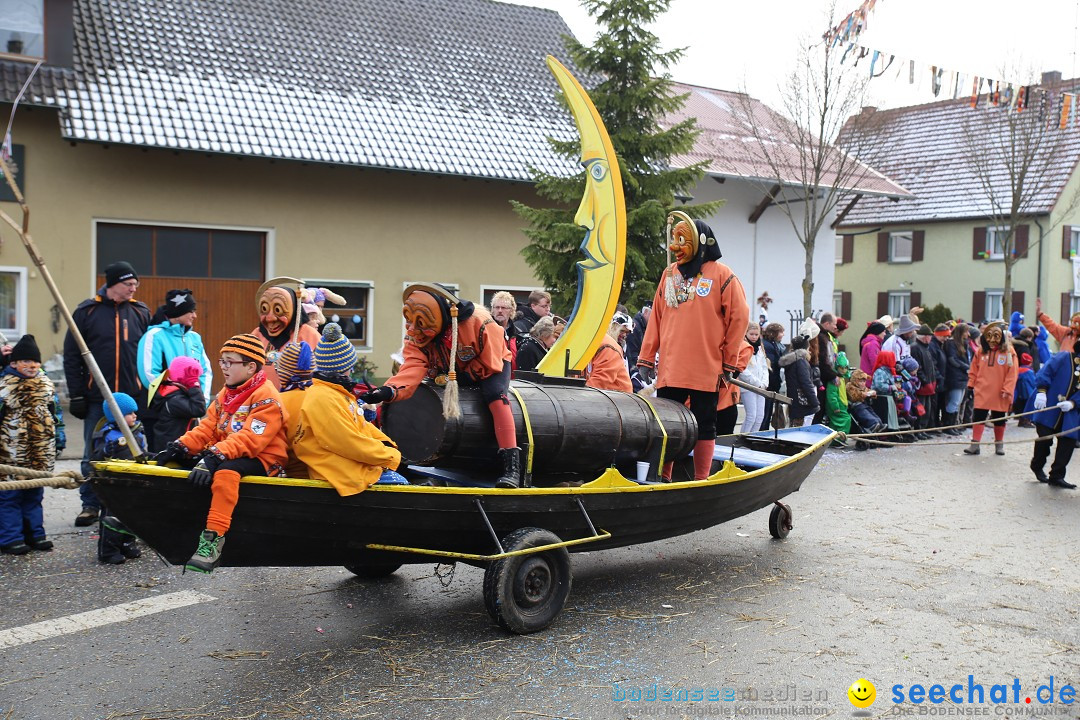 Fasnachtsumzug und Narrentage: Welschingen, 24.01.2016