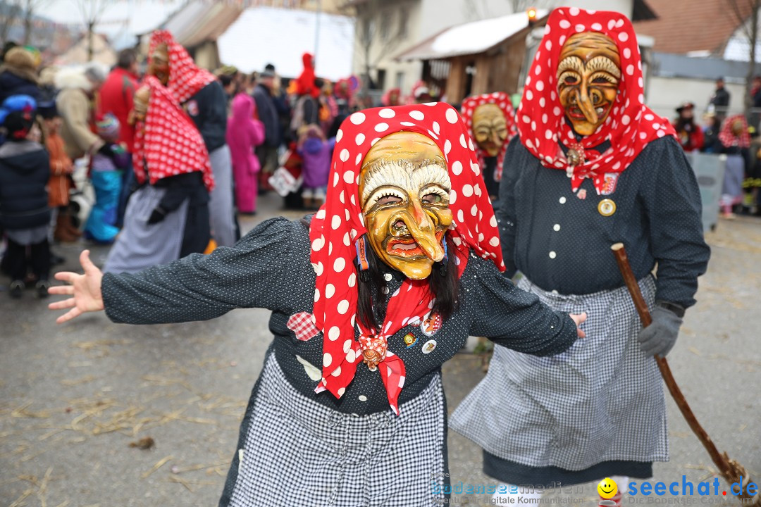 Fasnachtsumzug und Narrentage: Welschingen, 24.01.2016