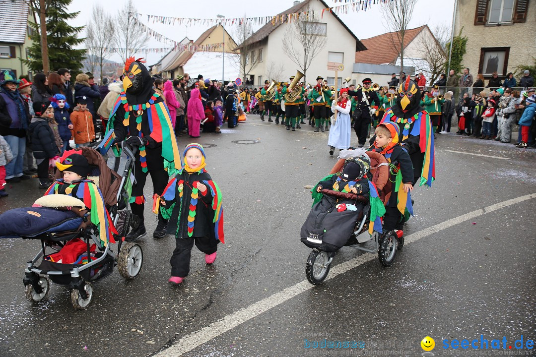 Fasnachtsumzug und Narrentage: Welschingen, 24.01.2016