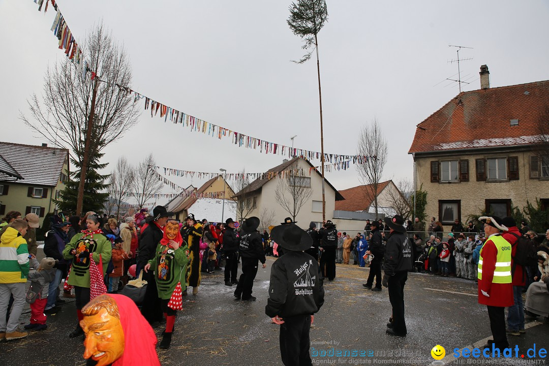 Fasnachtsumzug und Narrentage: Welschingen, 24.01.2016