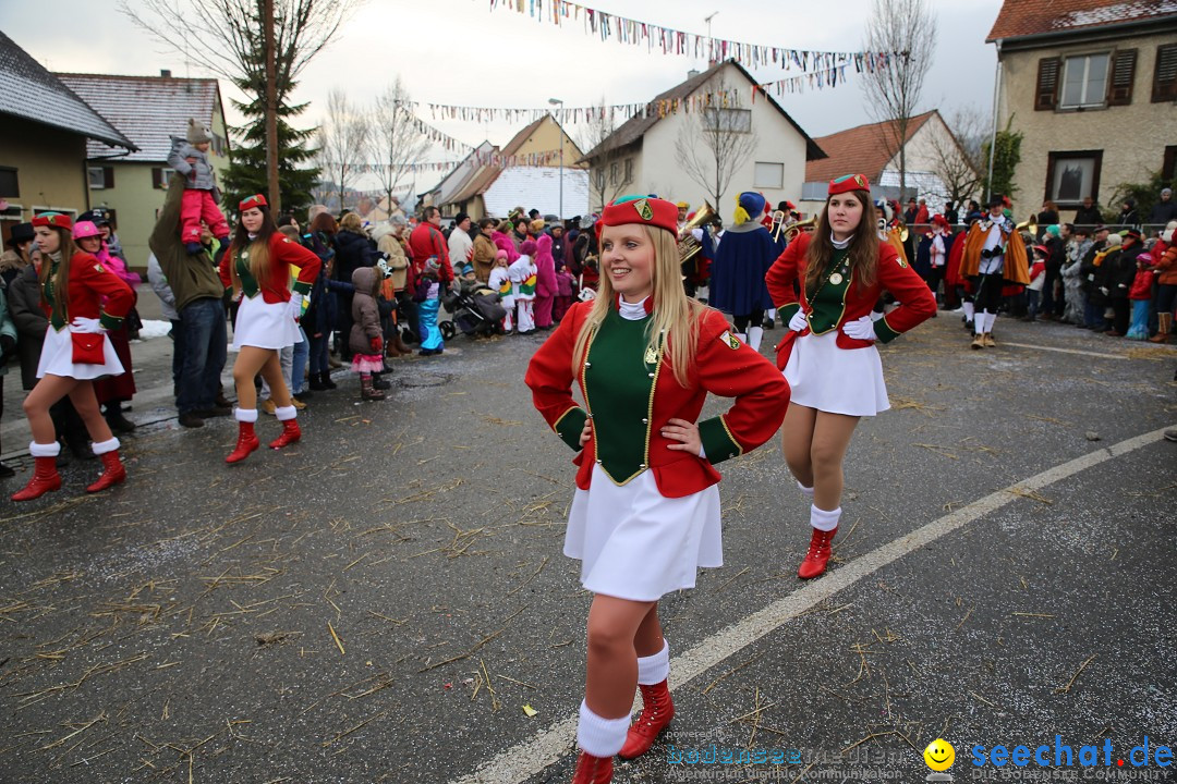 Fasnachtsumzug und Narrentage: Welschingen, 24.01.2016