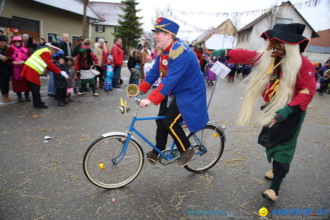 Fasnachtsumzug und Narrentage: Welschingen, 24.01.2016