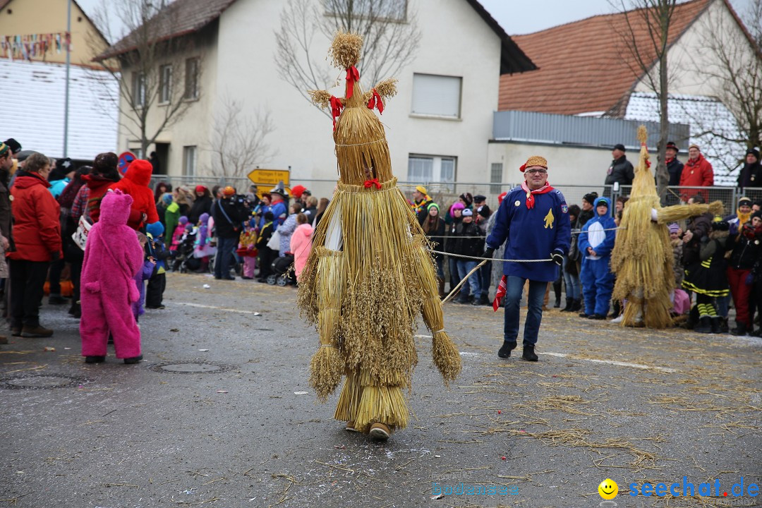 Fasnachtsumzug und Narrentage: Welschingen, 24.01.2016