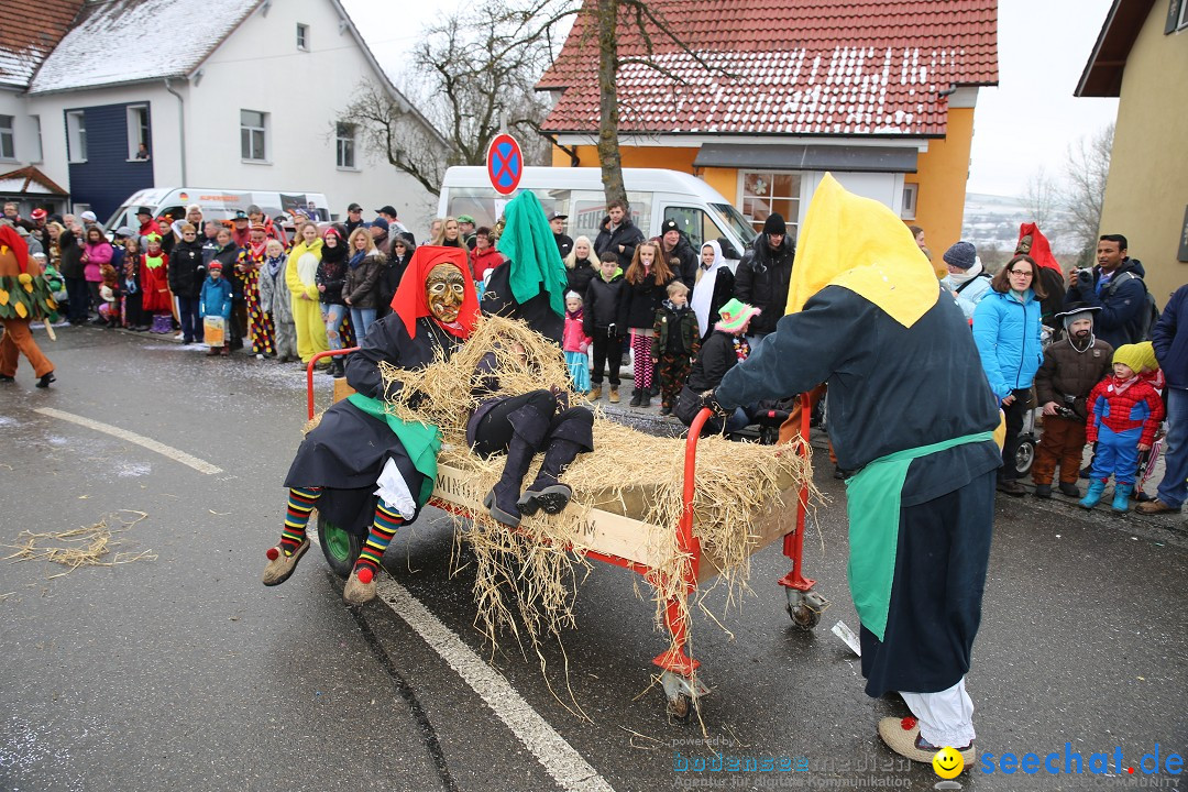 Fasnachtsumzug und Narrentage: Welschingen, 24.01.2016