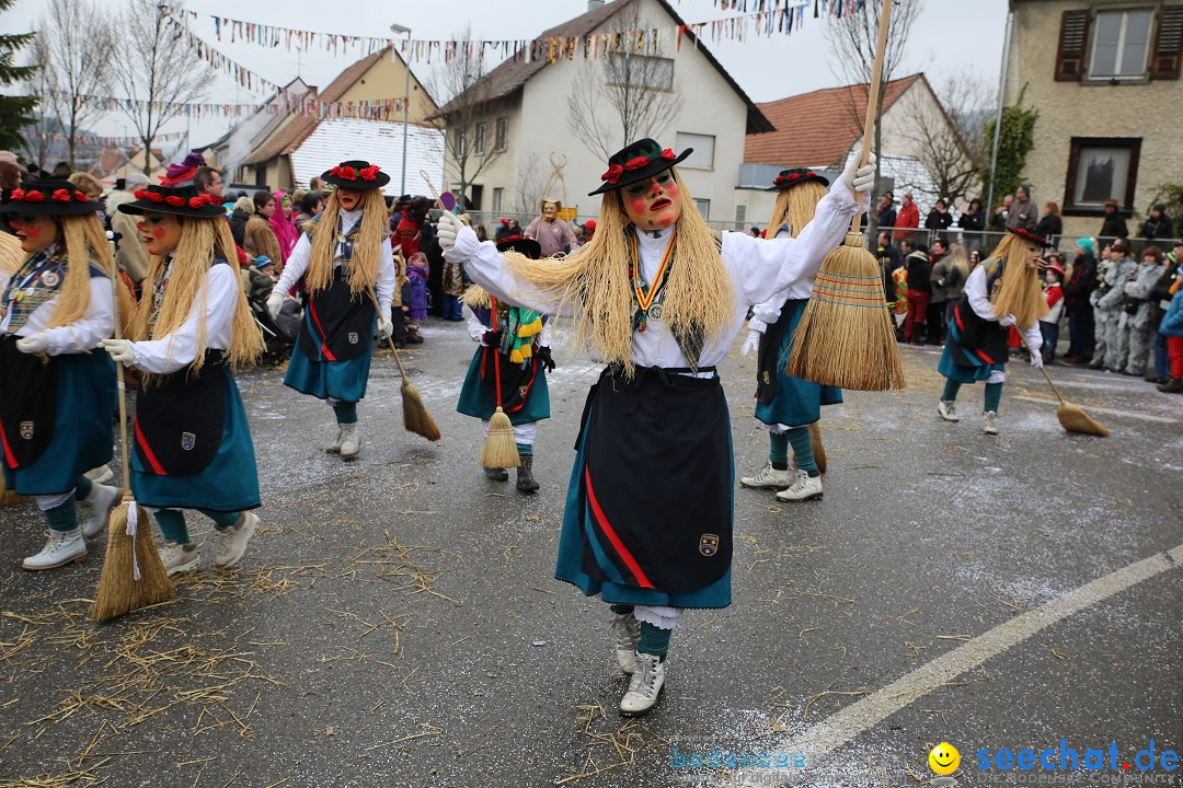 Fasnachtsumzug und Narrentage: Welschingen, 24.01.2016