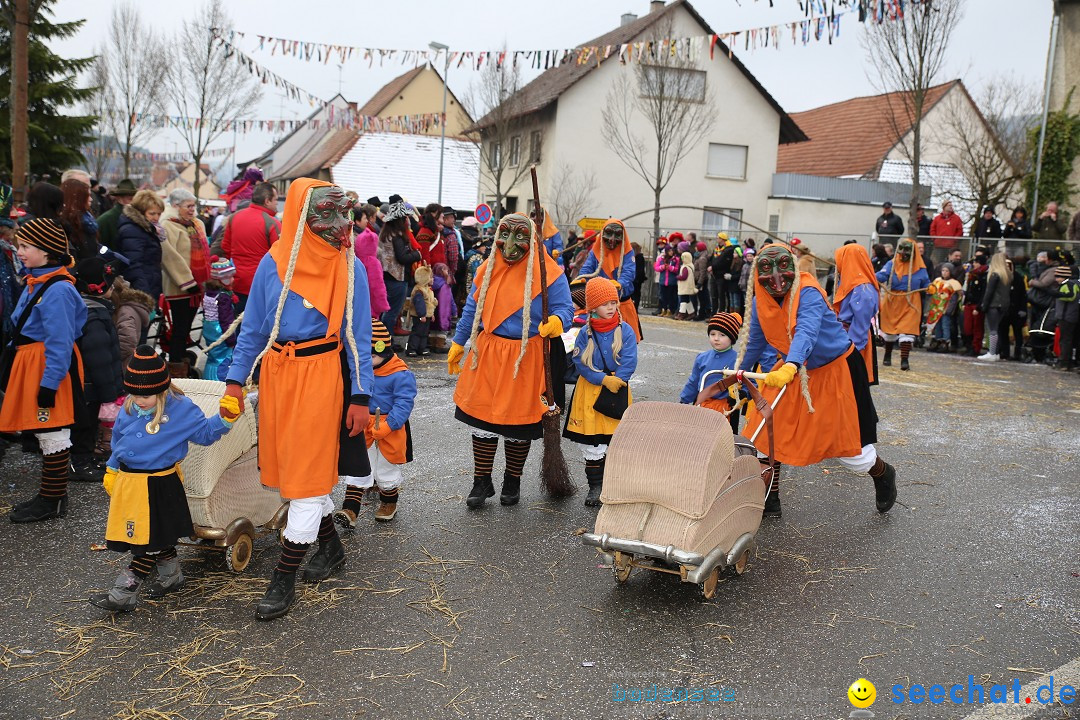 Fasnachtsumzug und Narrentage: Welschingen, 24.01.2016