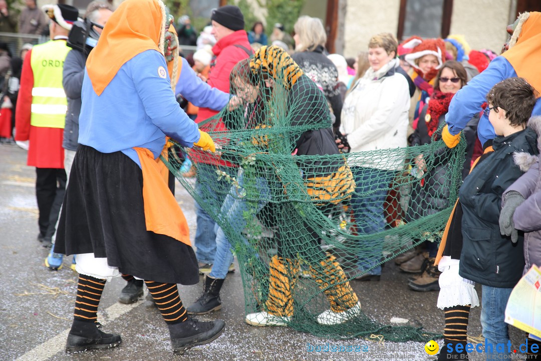 Fasnachtsumzug und Narrentage: Welschingen, 24.01.2016